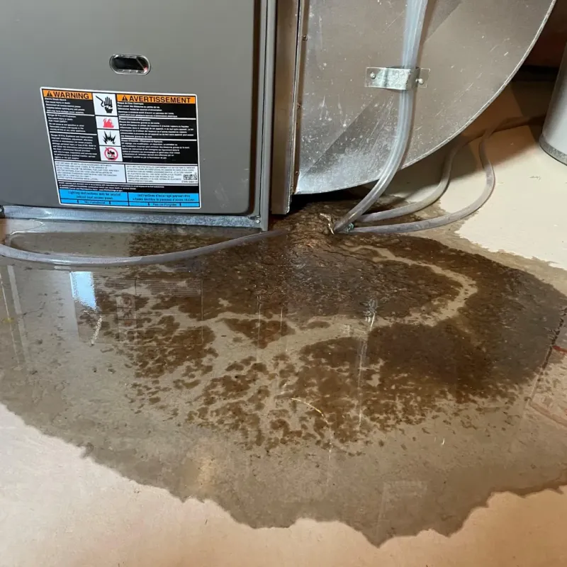 Appliance Leak Cleanup in Timber Lake, SD